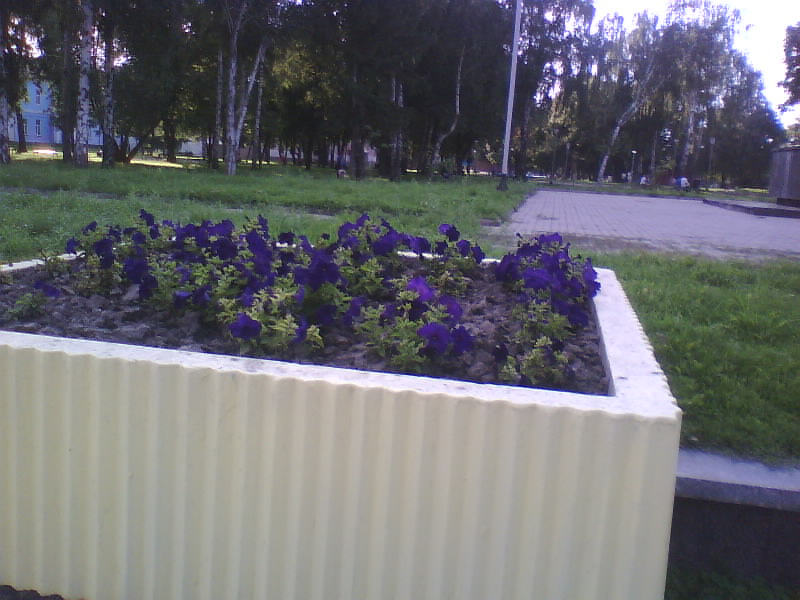 http://upforme.ru/uploads/001a/9f/a0/11/692971.jpg