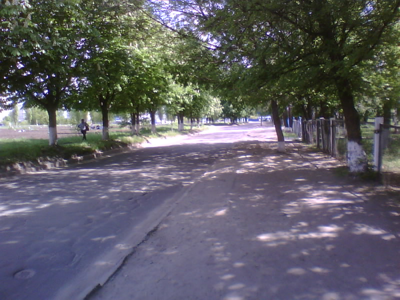 http://upforme.ru/uploads/001a/9f/a0/11/697471.jpg
