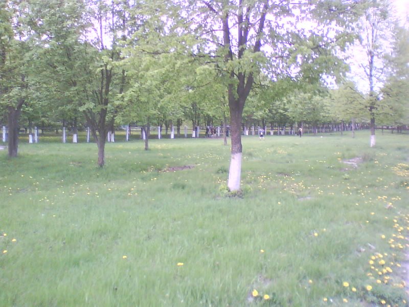 http://upforme.ru/uploads/001a/9f/a0/11/709678.jpg