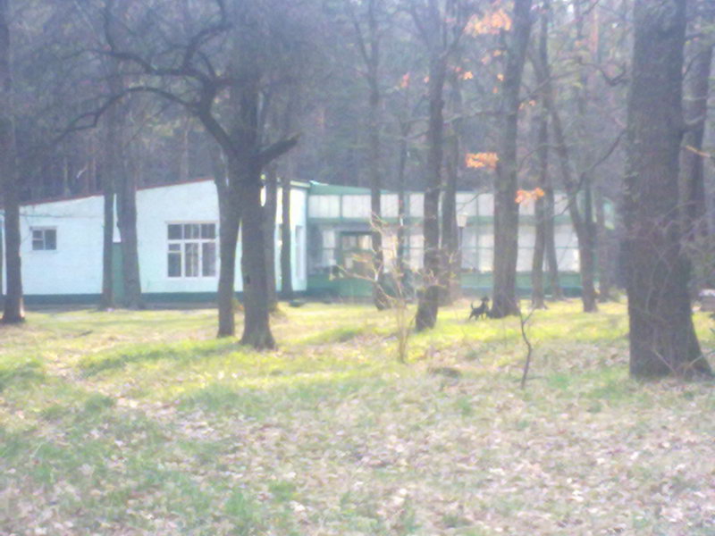 http://upforme.ru/uploads/001a/9f/a0/11/714677.jpg