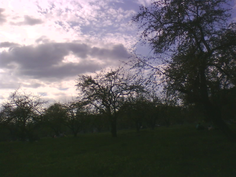 http://upforme.ru/uploads/001a/9f/a0/11/732956.jpg