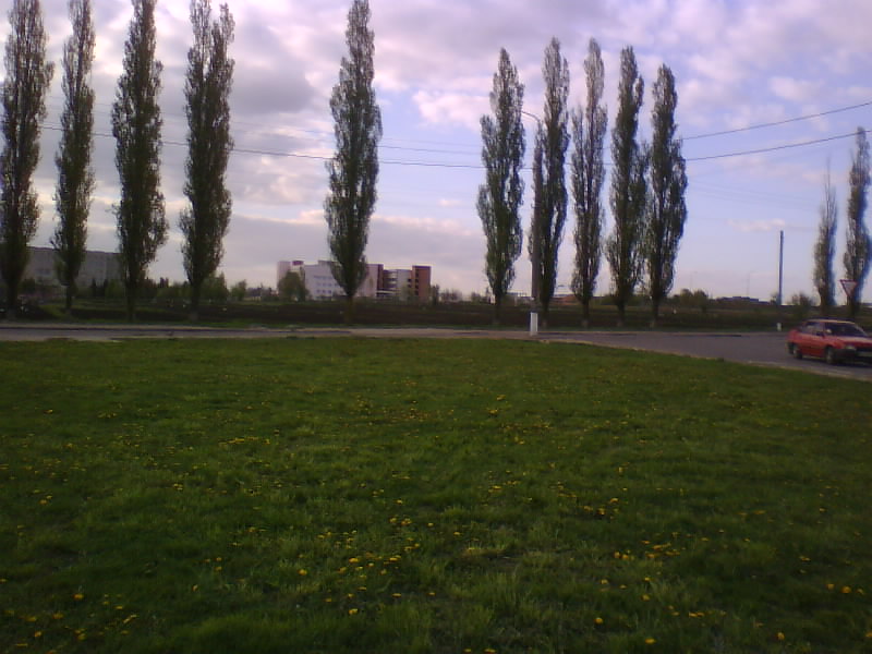 http://upforme.ru/uploads/001a/9f/a0/11/741565.jpg