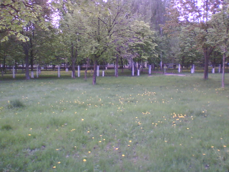 http://upforme.ru/uploads/001a/9f/a0/11/75637.jpg