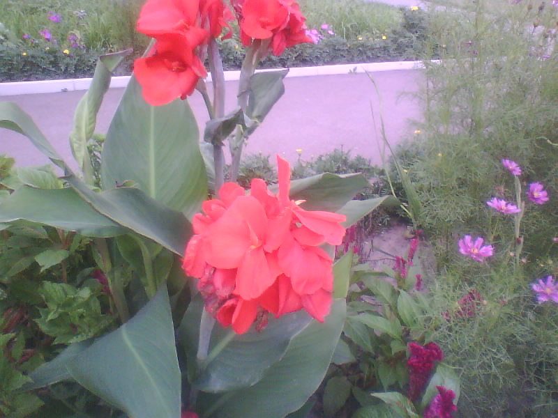 http://upforme.ru/uploads/001a/9f/a0/11/762025.jpg
