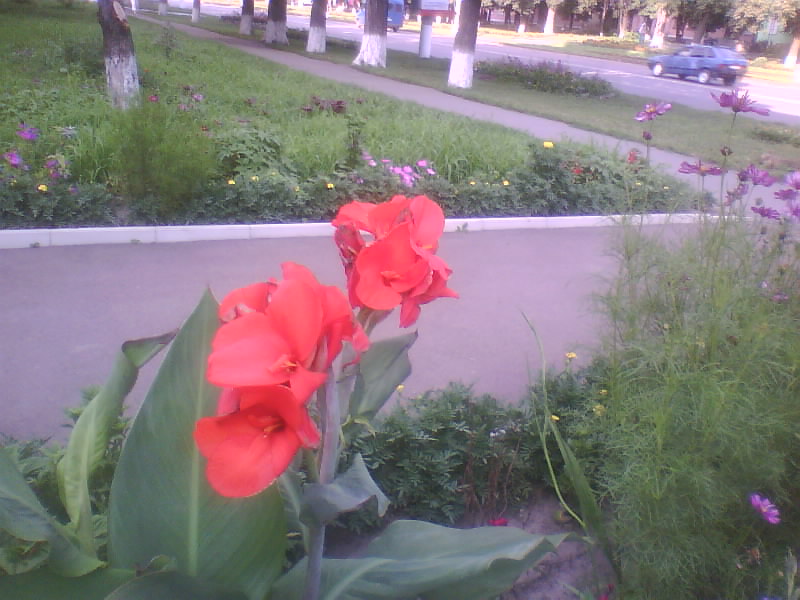 http://upforme.ru/uploads/001a/9f/a0/11/771094.jpg