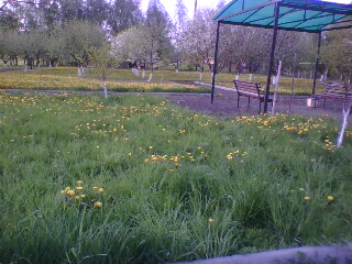 http://upforme.ru/uploads/001a/9f/a0/11/788499.jpg