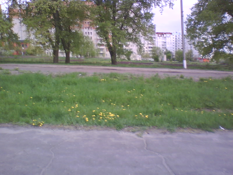 http://upforme.ru/uploads/001a/9f/a0/11/804582.jpg
