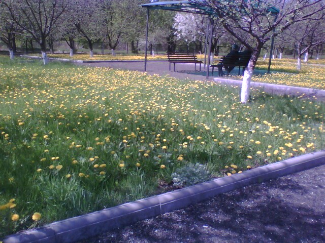http://upforme.ru/uploads/001a/9f/a0/11/815581.jpg