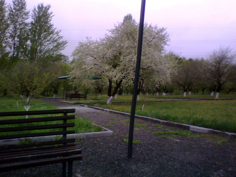 http://upforme.ru/uploads/001a/9f/a0/11/833875.jpg