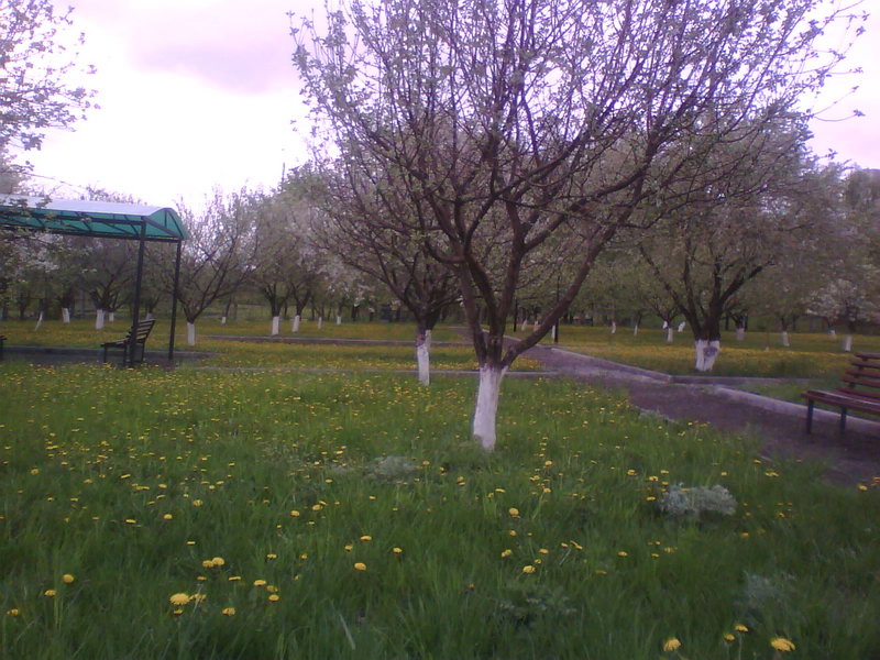 http://upforme.ru/uploads/001a/9f/a0/11/844404.jpg