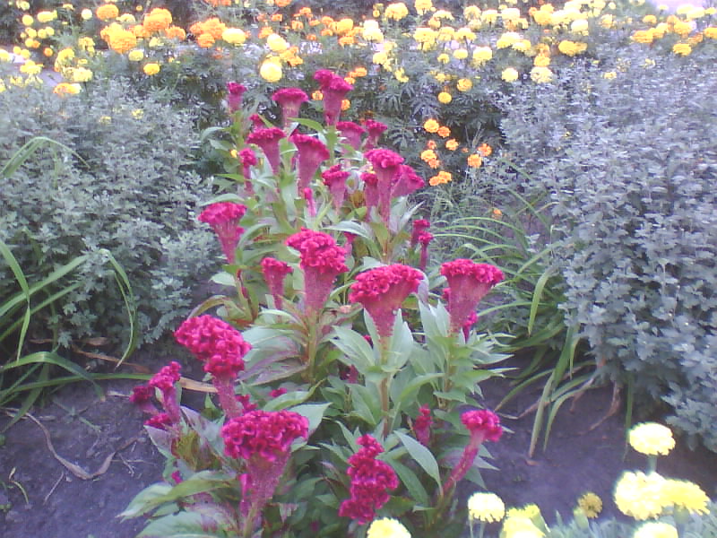 http://upforme.ru/uploads/001a/9f/a0/11/874137.jpg