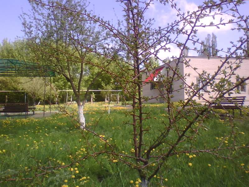 http://upforme.ru/uploads/001a/9f/a0/11/882238.jpg