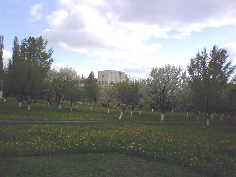 http://upforme.ru/uploads/001a/9f/a0/11/893428.jpg