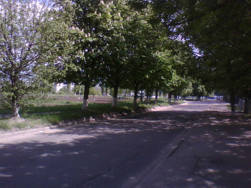 http://upforme.ru/uploads/001a/9f/a0/11/902661.jpg