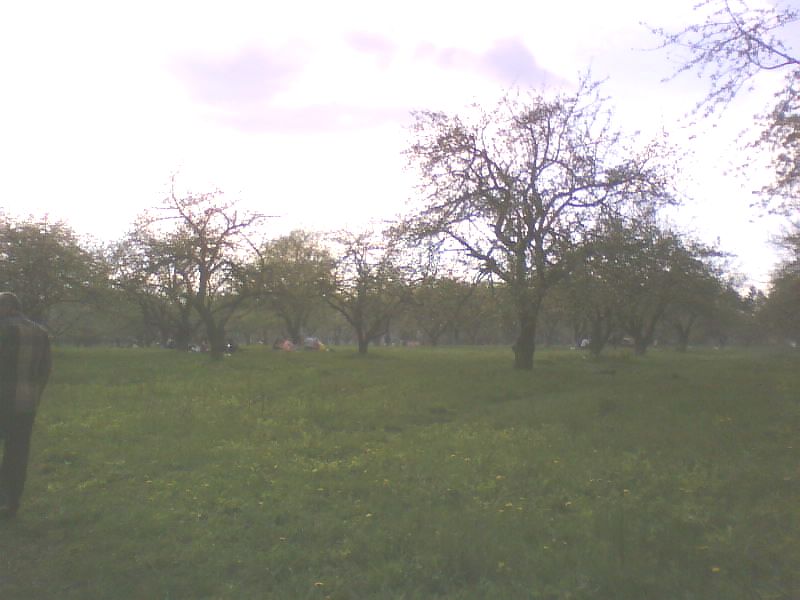 http://upforme.ru/uploads/001a/9f/a0/11/927707.jpg
