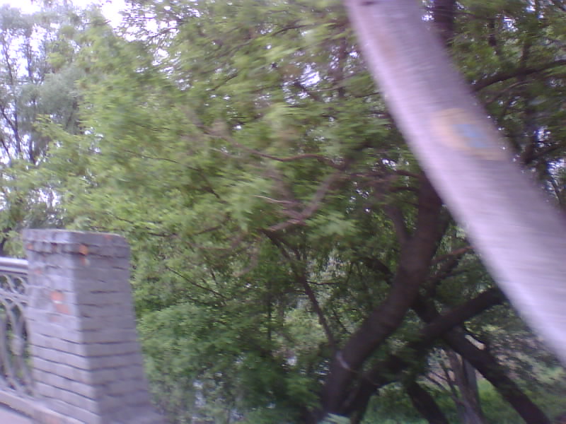 http://upforme.ru/uploads/001a/9f/a0/11/931490.jpg