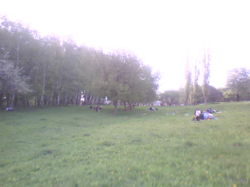 http://upforme.ru/uploads/001a/9f/a0/11/938652.jpg