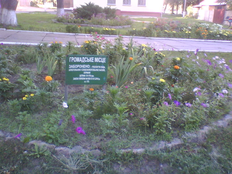 http://upforme.ru/uploads/001a/9f/a0/11/940346.jpg