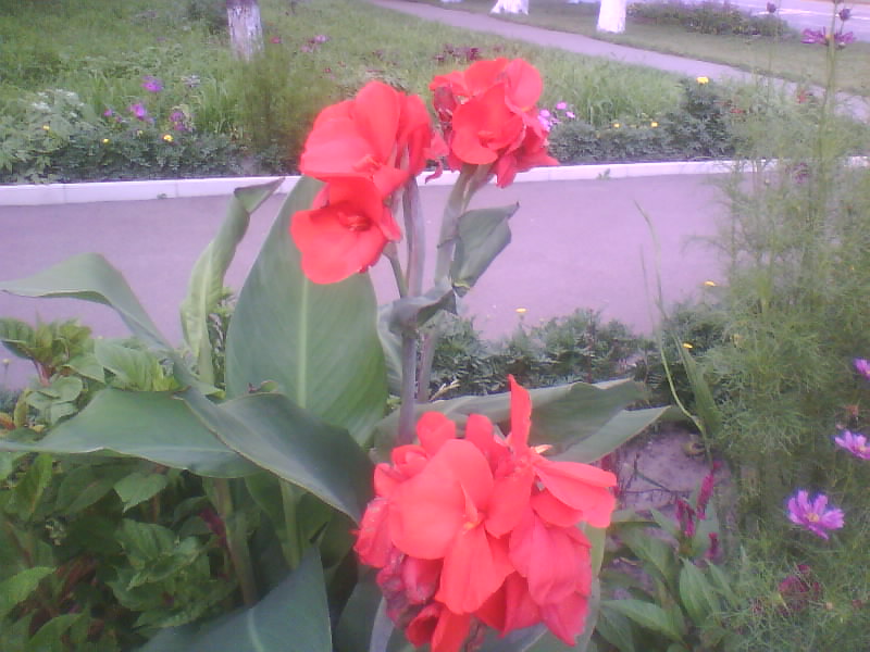 http://upforme.ru/uploads/001a/9f/a0/11/958843.jpg