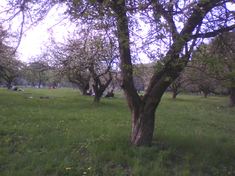 http://upforme.ru/uploads/001a/9f/a0/11/973813.jpg