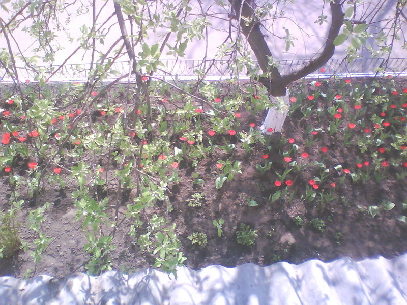 http://upforme.ru/uploads/001a/9f/a0/11/982124.jpg