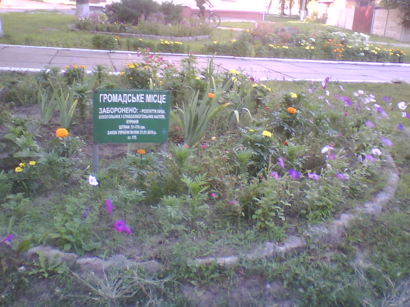 http://upforme.ru/uploads/001a/9f/a0/11/983669.jpg