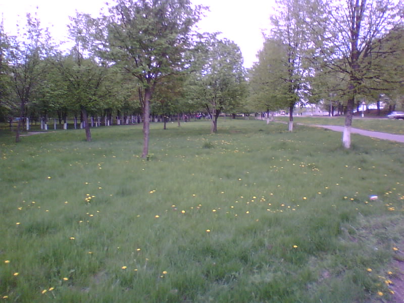 http://upforme.ru/uploads/001a/9f/a0/11/99511.jpg