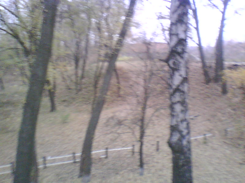 http://upforme.ru/uploads/001a/9f/a0/11/996226.jpg