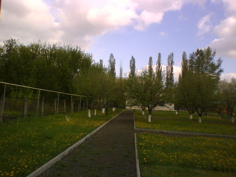 http://upforme.ru/uploads/001a/9f/a0/11/999501.jpg