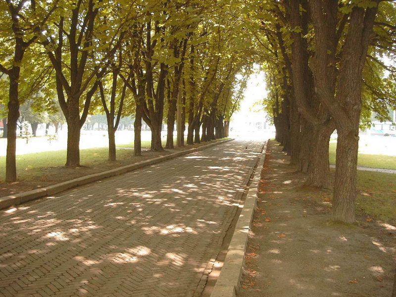 http://upforme.ru/uploads/001a/9f/a0/6/192058.jpg