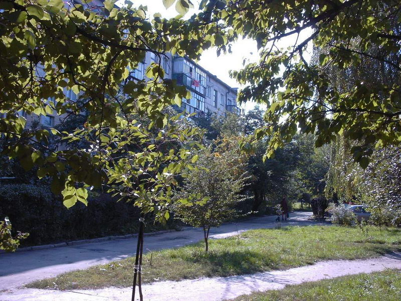 http://upforme.ru/uploads/001a/9f/a0/6/232730.jpg