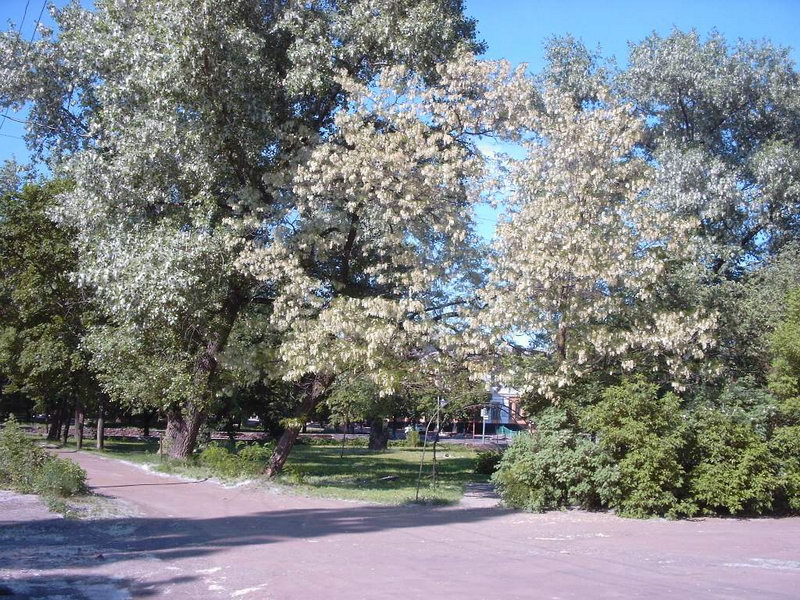 http://upforme.ru/uploads/001a/9f/a0/6/37863.jpg