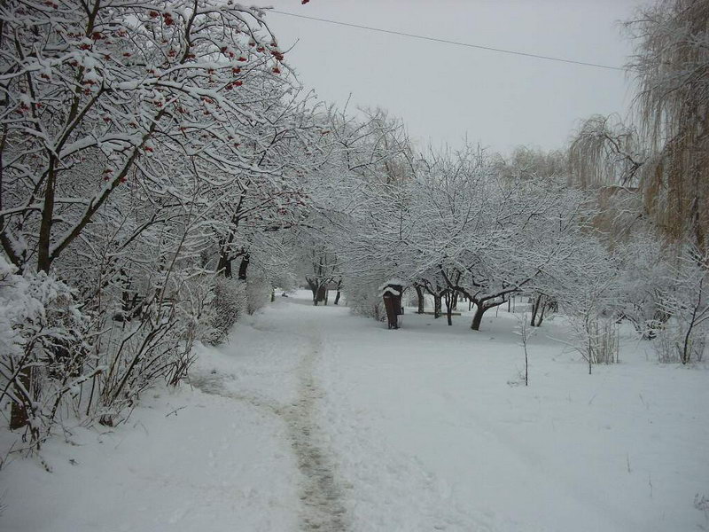 http://upforme.ru/uploads/001a/9f/a0/6/520417.jpg