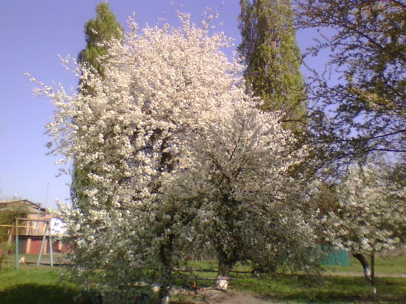 http://upforme.ru/uploads/001a/9f/a0/7/127647.jpg