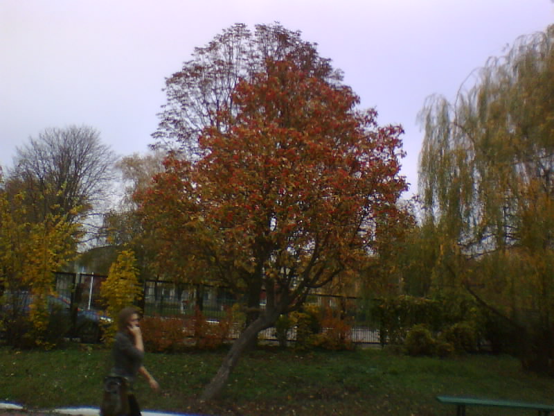 http://upforme.ru/uploads/001a/9f/a0/7/154899.jpg
