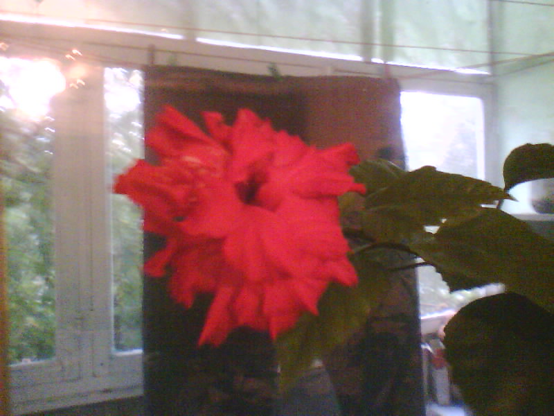 http://upforme.ru/uploads/001a/9f/a0/7/183692.jpg