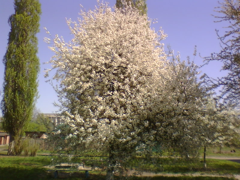 http://upforme.ru/uploads/001a/9f/a0/7/188974.jpg