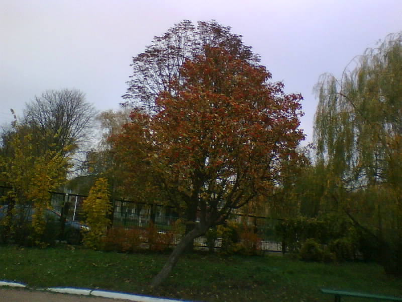 http://upforme.ru/uploads/001a/9f/a0/7/213713.jpg