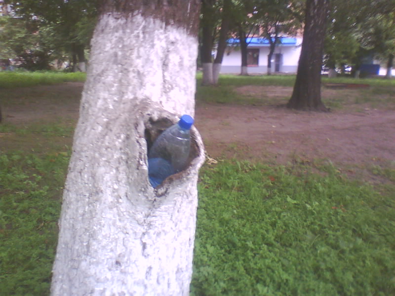 http://upforme.ru/uploads/001a/9f/a0/7/234076.jpg