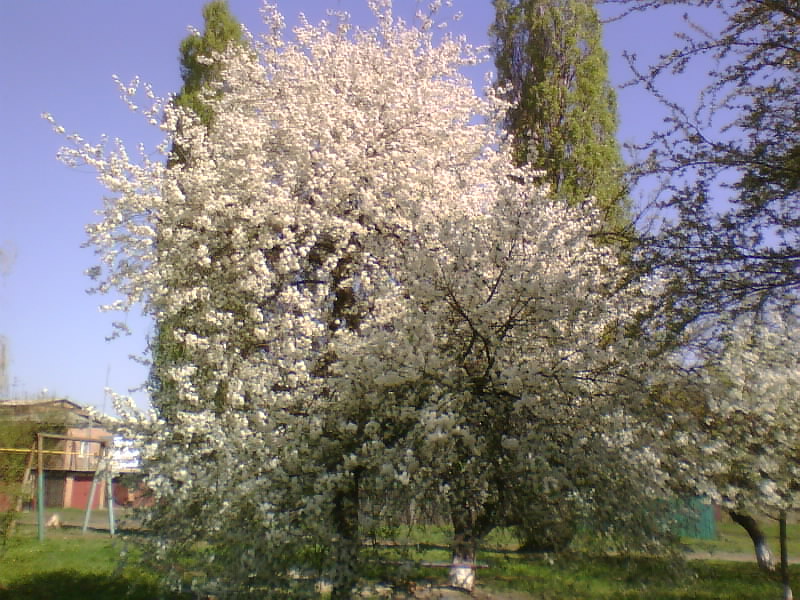 http://upforme.ru/uploads/001a/9f/a0/7/249469.jpg