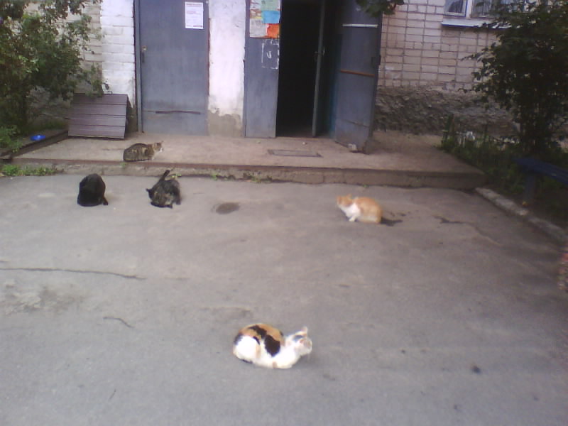 http://upforme.ru/uploads/001a/9f/a0/7/361877.jpg