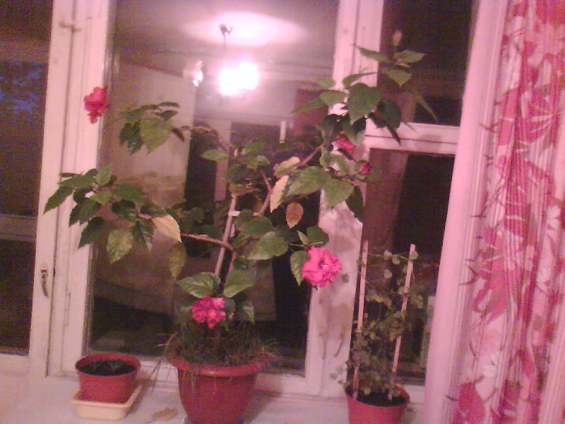 http://upforme.ru/uploads/001a/9f/a0/7/397925.jpg