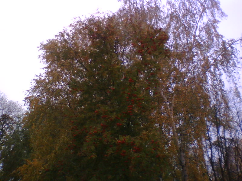 http://upforme.ru/uploads/001a/9f/a0/7/410522.jpg