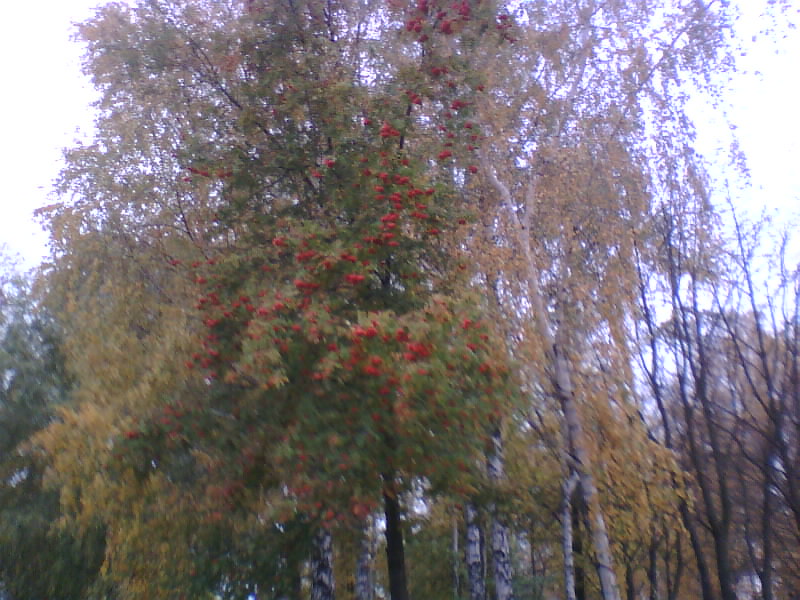 http://upforme.ru/uploads/001a/9f/a0/7/411764.jpg