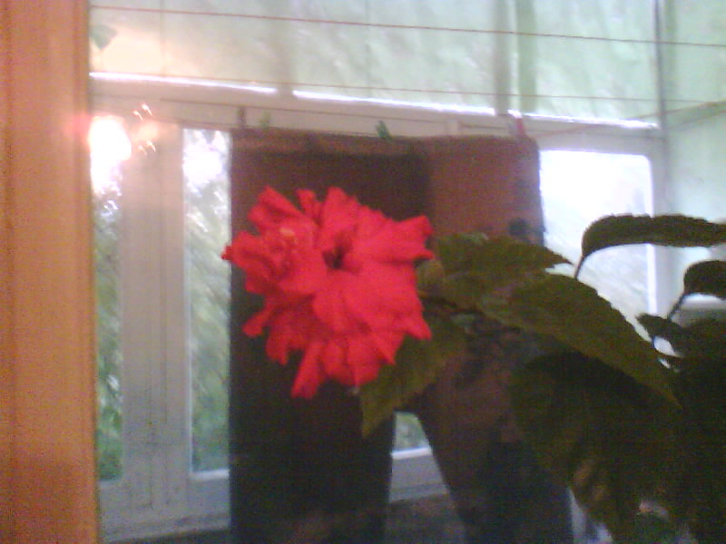 http://upforme.ru/uploads/001a/9f/a0/7/452629.jpg
