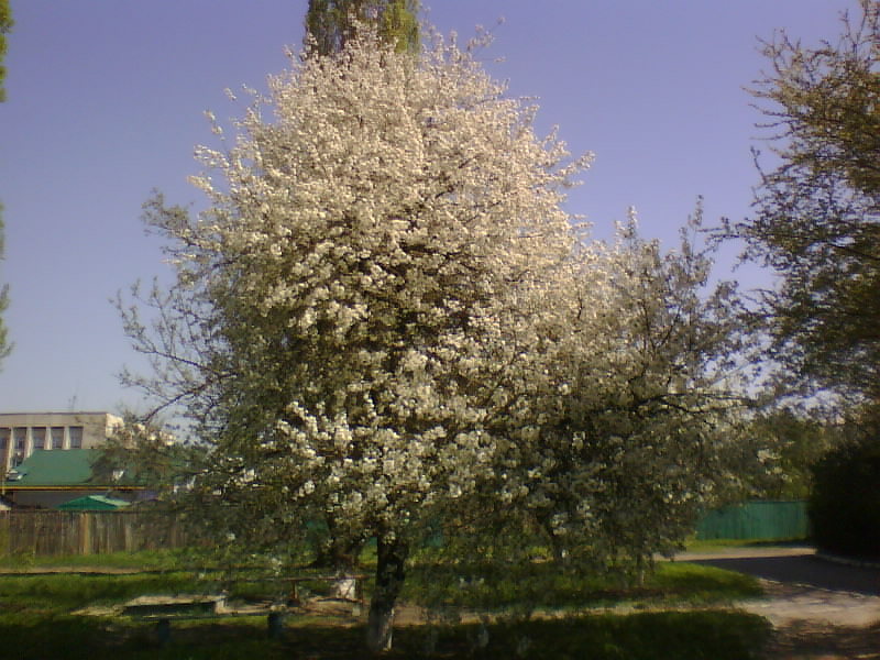 http://upforme.ru/uploads/001a/9f/a0/7/453879.jpg