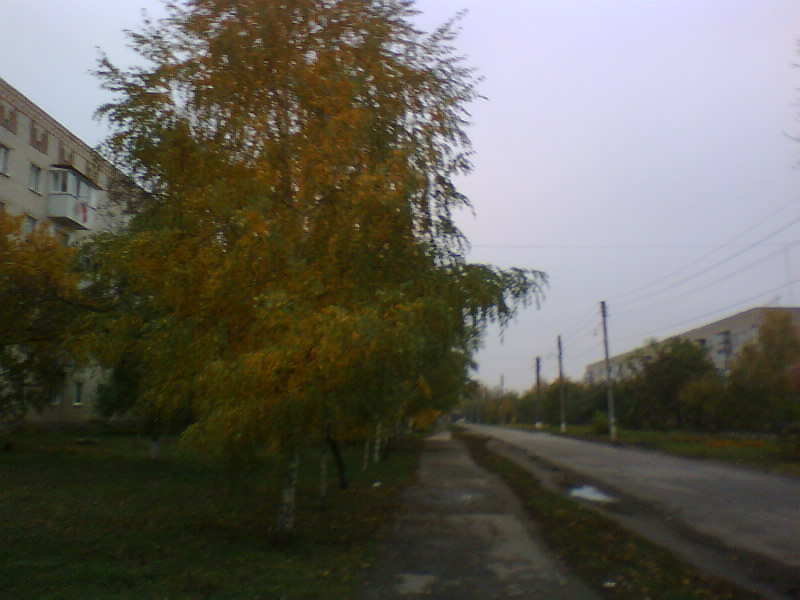 http://upforme.ru/uploads/001a/9f/a0/7/474828.jpg