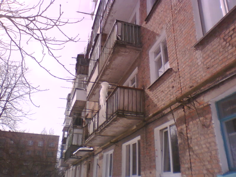 http://upforme.ru/uploads/001a/9f/a0/7/499644.jpg
