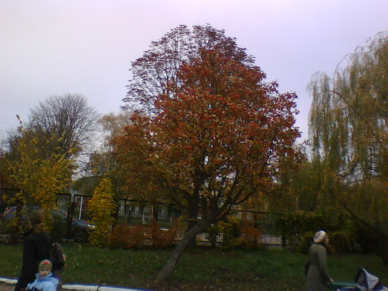 http://upforme.ru/uploads/001a/9f/a0/7/532141.jpg