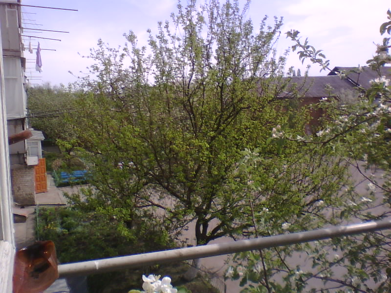 http://upforme.ru/uploads/001a/9f/a0/7/567353.jpg